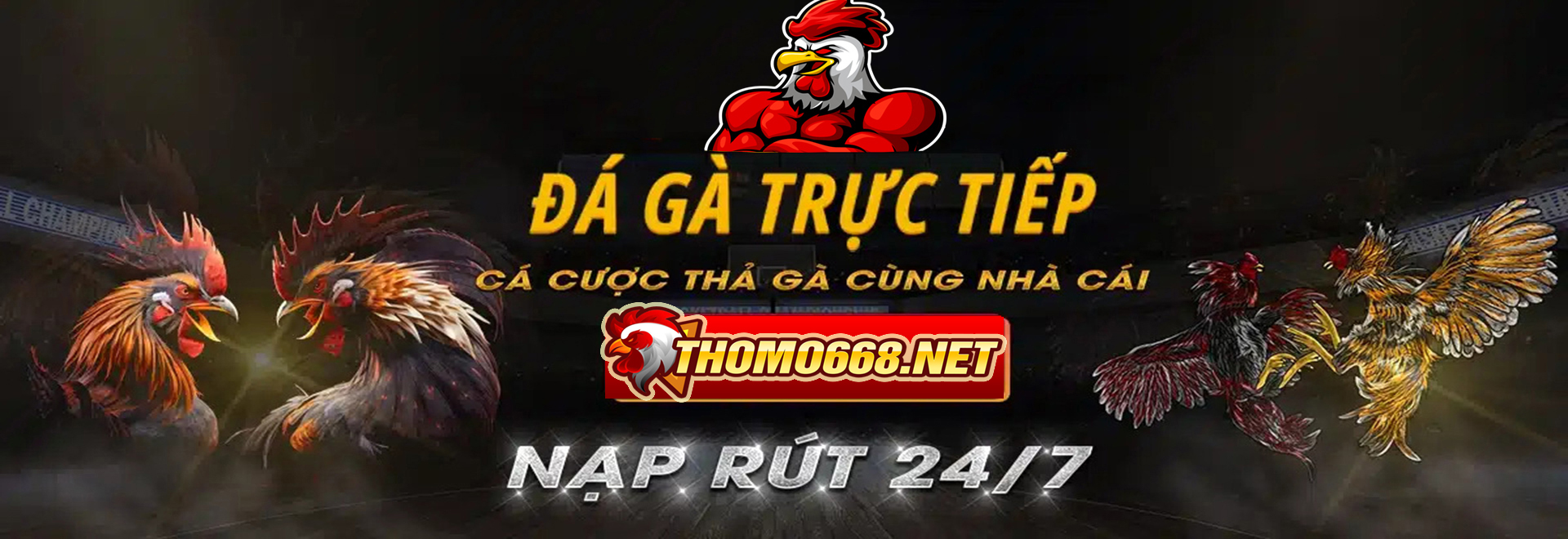 banner-thomo668